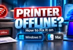 Printer Offline? How to Fix It on Windows 11 and Mac