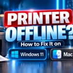 Printer Offline? How to Fix It on Windows 11 and Mac