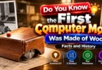 Do You Know the First Computer Mouse Was Made of Wood? Facts and History