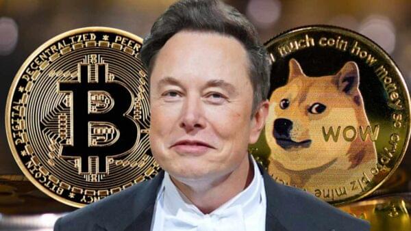 Dogecoin and Elon Musk